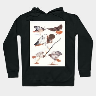 Redtailed Hawk Selfie Hoodie